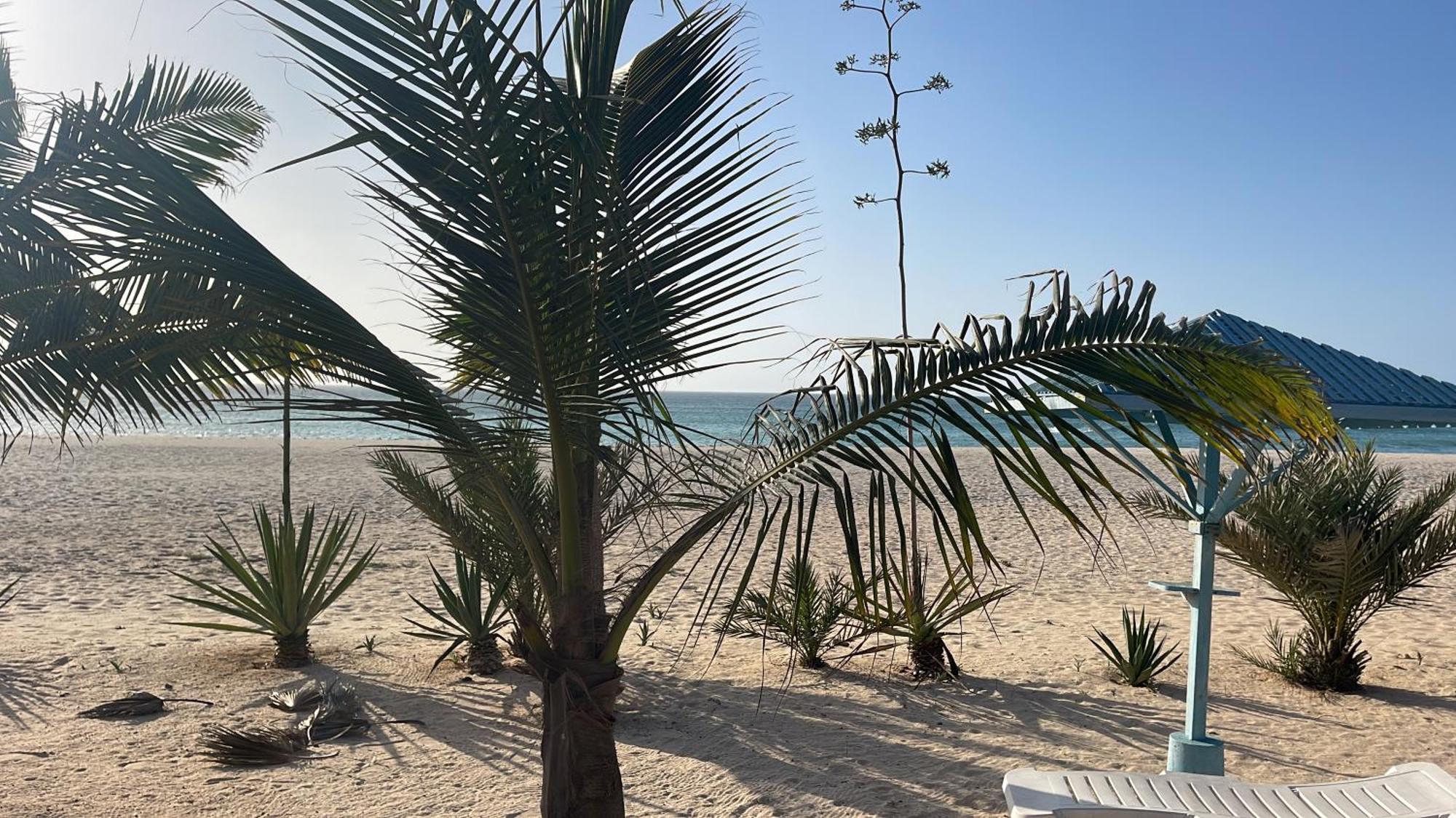 Luxury Beach Villa, Praia De Chaves, Boa Vista Sal Rei Bagian luar foto